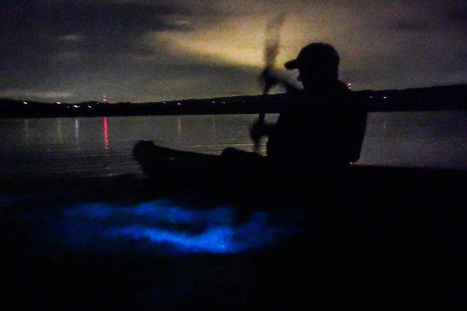 bioluminescence-night-kayaking-tour-of-merritt-island-wildlife-refuge