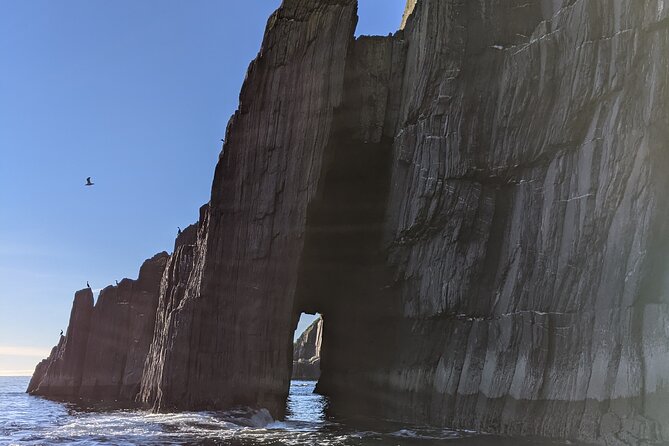 boat-tour-of-dingle-peninsula