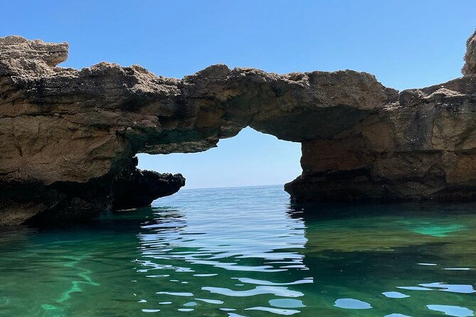 boat-trip-fico-cave-cala-mariolu-gabbiani-biriala
