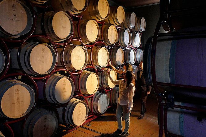 bolgheri-classic-wine-tasting-with-winery-tour