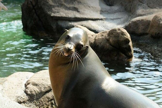 bronx-zoo-admission-ticket