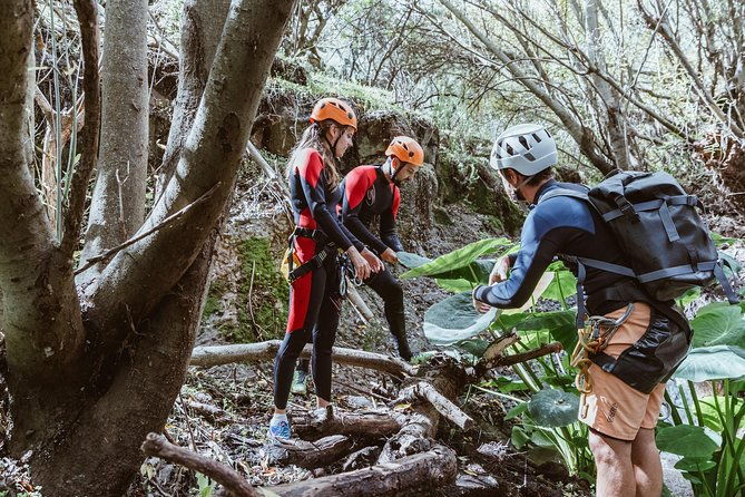 canyoning-with-waterfalls-in-the-rainforest-small-groups-%e3%83%84