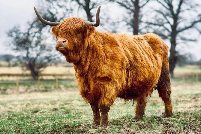 cawdor-castle-inverness-culloden-outlander-and-loch-ness-tour