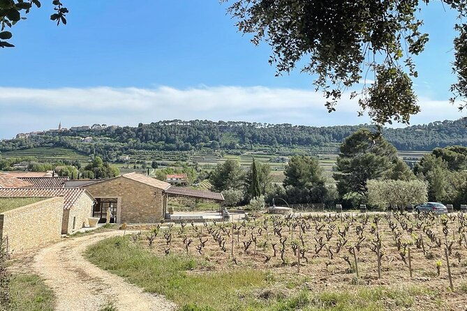 cellar-visit-bandol-wine-tasting