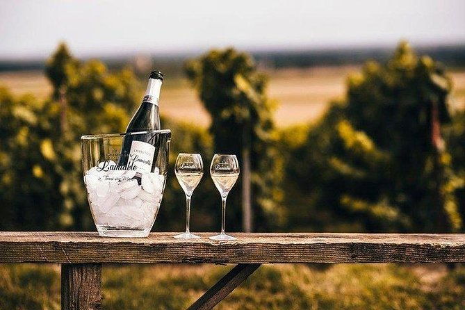 champagne-lamiable-stroll-and-taste-in-the-grand-cru-champagne-vineyard