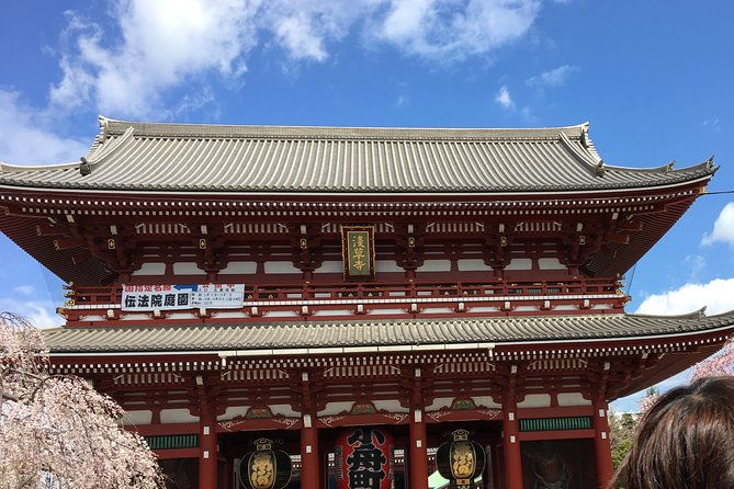 cherry-blossom-tour-in-tokyo