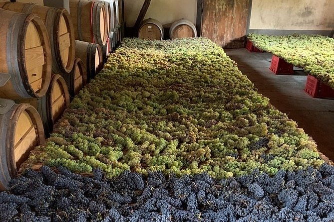 chianti-and-san-gimignano-2-wineries-with-pairing-lunch