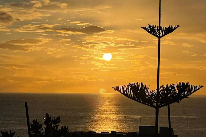 classic-car-half-day-tour-day-tour-private-tour-madeira