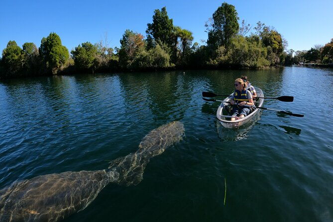 clear-kayak-manatee-ecotour-of-crystal-river