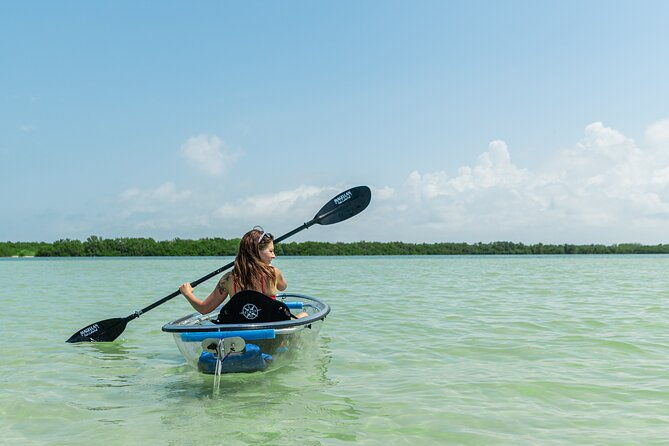 clear-kayak-tour-of-shell-key-preserve-and-tampa-bay-area