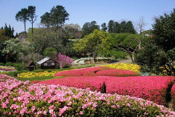 colors-of-japan-fukuoka-nokonoshima-island-park-wagyu-bbq