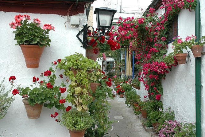 cordobas-authentic-patios-2-hour-tour-with-tickets