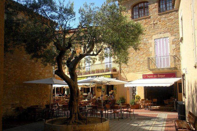 costa-brava-and-medieval-villages-small-group-from-girona