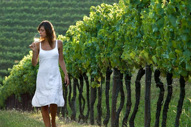 countryside-half-day-wine-tour-near-vienna