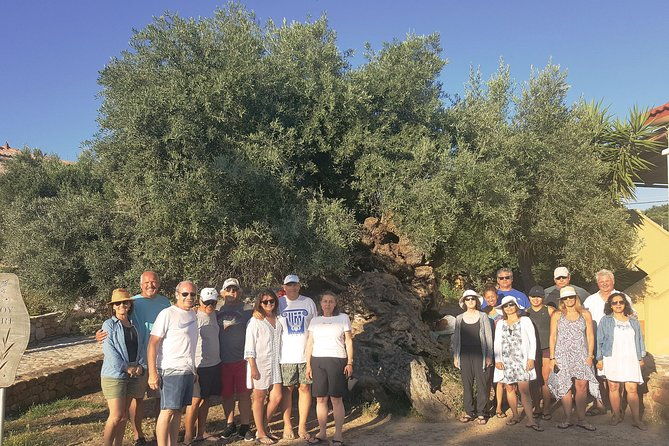 crete-wine-and-olive-oil-tour