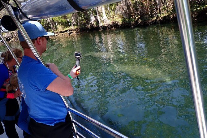 crystal-river-manatee-viewing-cruise