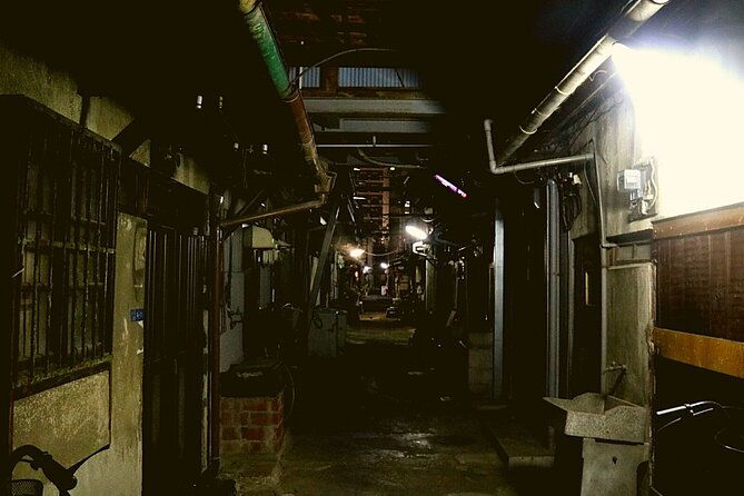 deep-backstreet-osaka-tours-option-to-add-dinner