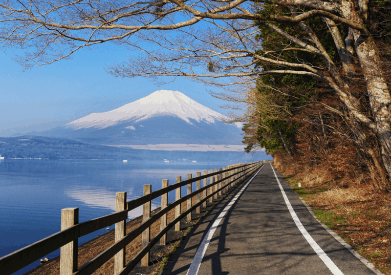 discover-mount-fuji-private-car-van-day-tour-from-tokyo