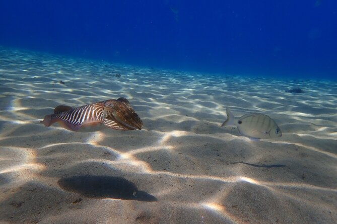 discover-scuba-diving-in-lanzarote-costa-teguise