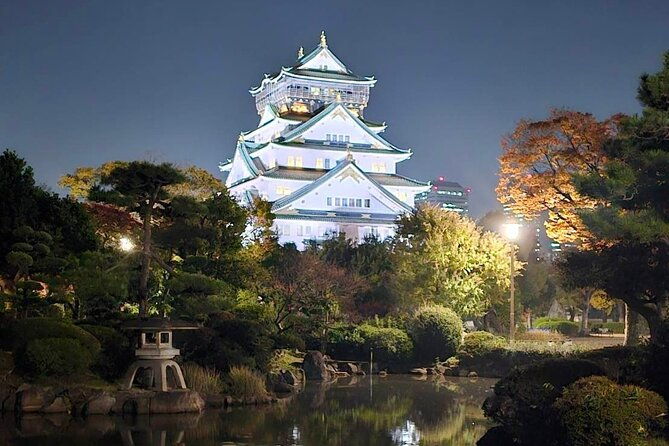 discover-the-hidden-gem-of-osakas-private-walking-tour