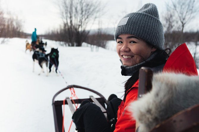 dog-sled-tour-and-husky-cuddles