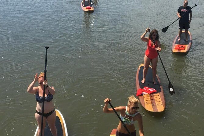 dolphin-manatee-and-seaturtle-sup-adventure-tour-of-st-augustine