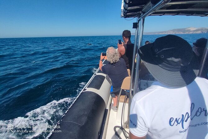 dolphin-watching-and-boat-tour-in-sesimbra