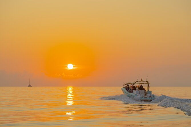 dolphin-watching-by-boat
