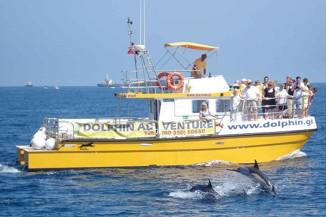 dolphin-watching-in-gibraltar-fast-track-priority-cable-car