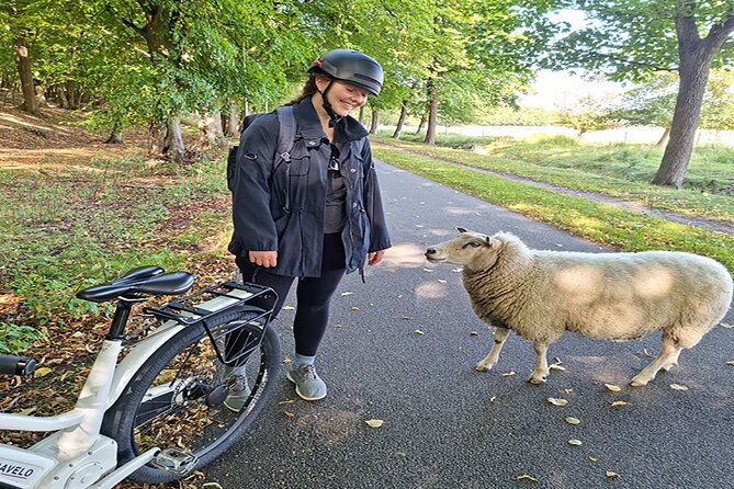e-biking-northern-forgotten-giants-s-adventure