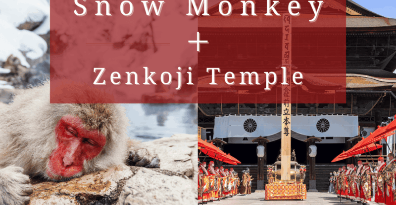 %e3%80%90private%e3%80%91snow-monkey-parkzenkoji-temple-from-nagano-myoko