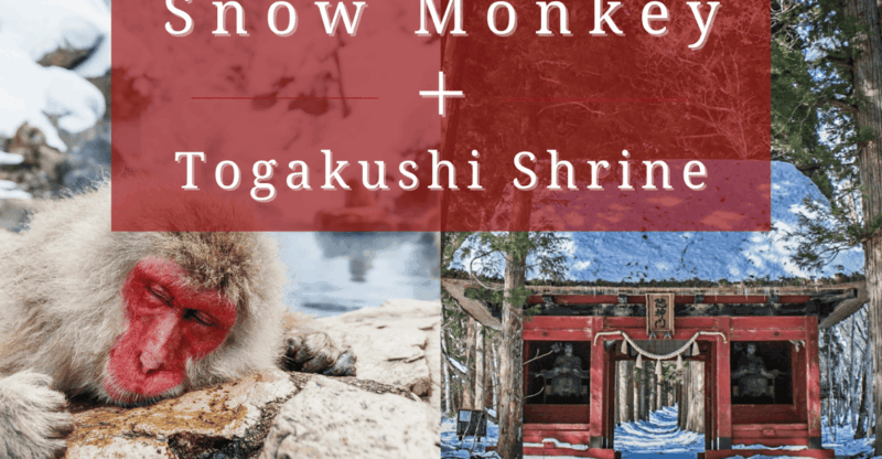%e3%80%90private%e3%80%91snow-monkey-togakushi-shrine-from-nagano-myoko