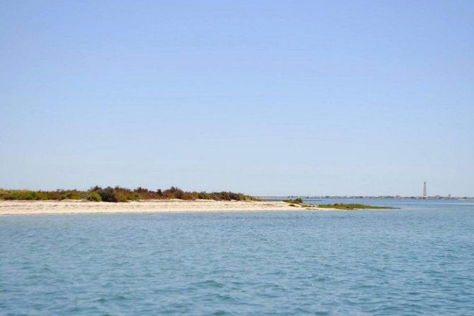 eco-boat-tour-in-the-ria-formosa-lagoon-from-faro