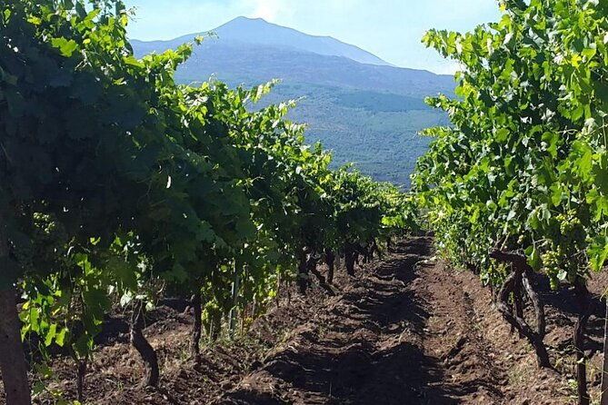 etna-excursion-and-wine-tasting-with-sicilian-lunch