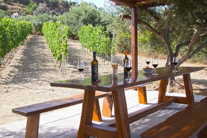 euphoria-vineyard-tour-wine-tasting