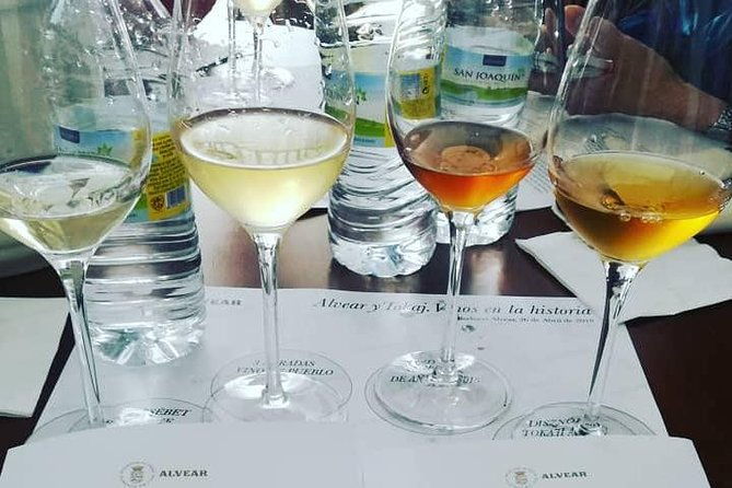 evening-wine-tasting-cordoba