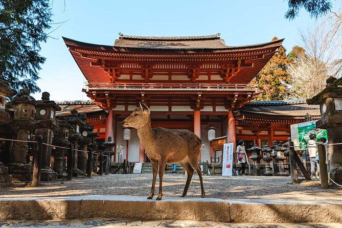 exclusive-luxury-day-tours-serene-nara