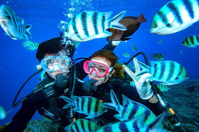 experience-diving-banana-boat-by-boat
