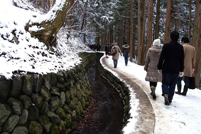 explore-jigokudani-snow-monkey-park-with-a-local-guide