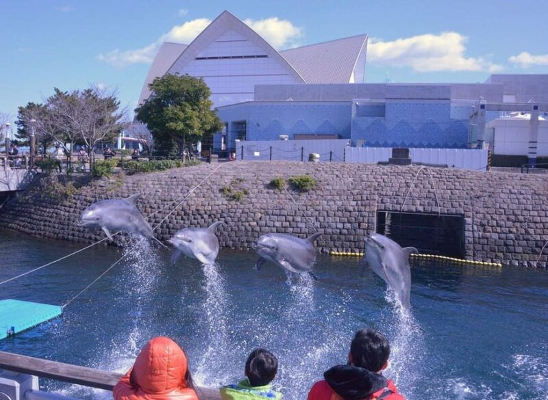 explore-kagoshima-sightseeing-spots-by-kagoshima-cityviewbus
