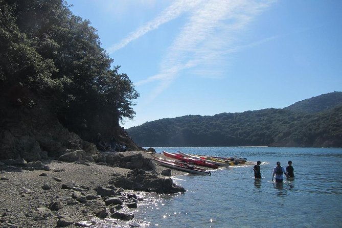 explore-the-nature-that-inspired-ghibli-movies-by-kayak-half-day