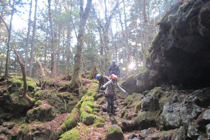 exploring-mt-fuji-ice-cave-and-sea-of-trees-forest