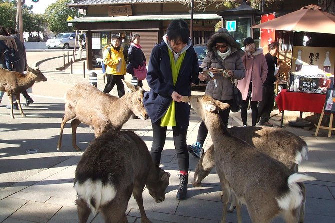 exploring-nara