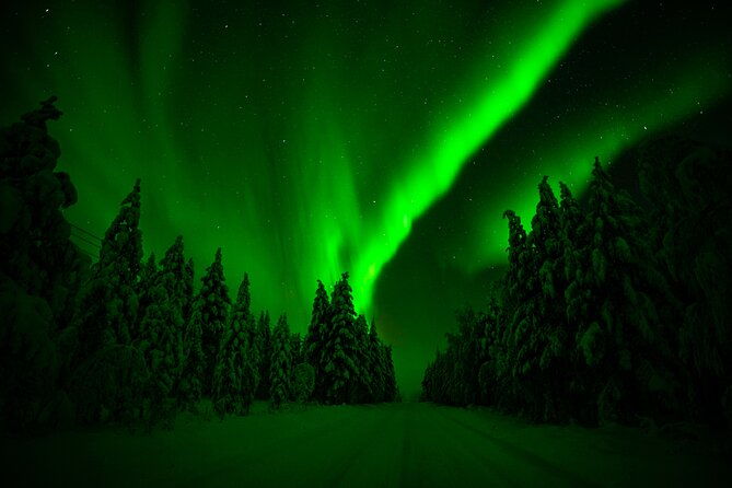 family-friendly-northern-lights-adventure-from-rovaniemi
