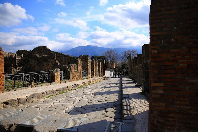 fast-access-exclusive-private-ancient-pompeii-half-day-tour-with-local-guide