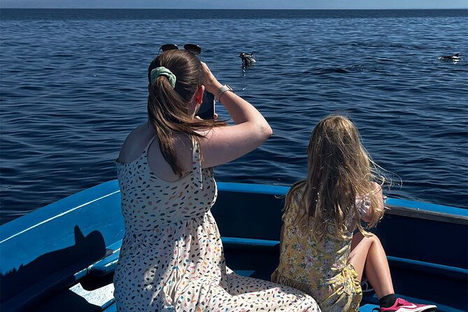 fishing-snorkelling-dolphin-boat-tour