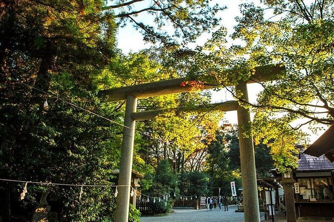 from-fukuoka-day-trip-to-miyazaki-takachiho-gorge-shrine-2