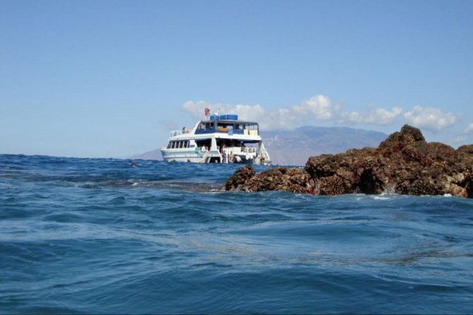 from-maalaea-whale-watching-tour-aboard-the-quicksilver