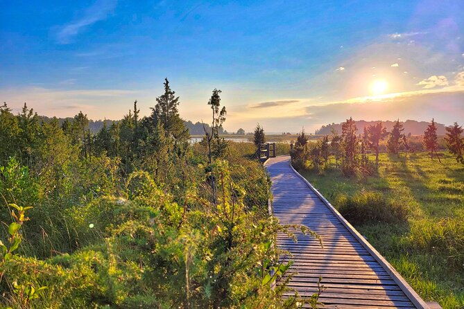 from-riga-best-of-kemeri-national-park-in-one-day
