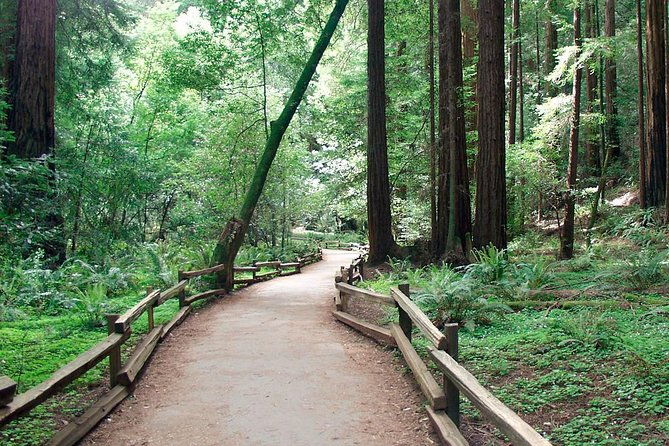 from-san-francisco-guided-tour-to-muir-woods-coastal-redwoods